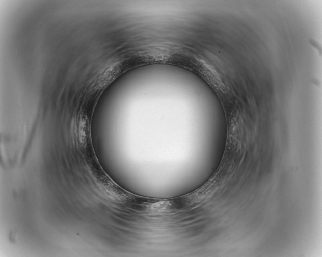 X0000098080122200804181209