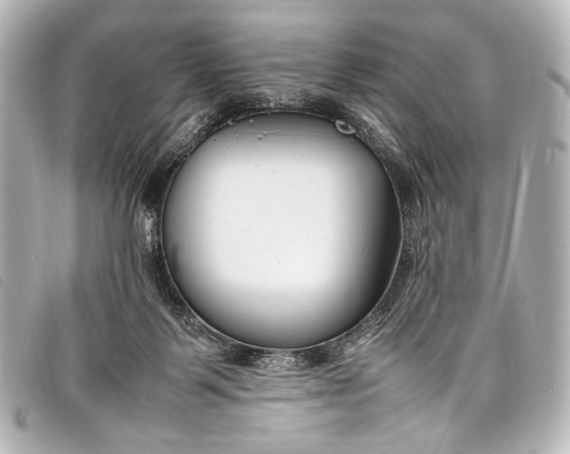 X0000098080123200804181209