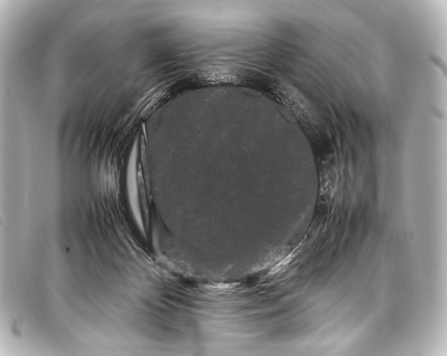 X0000098080124200804181208