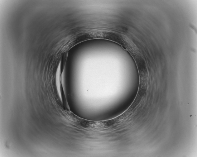 X0000098080125200804181208