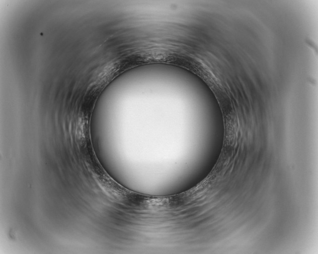 X0000098080126200804181208