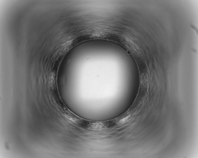 X0000098080127200804181208