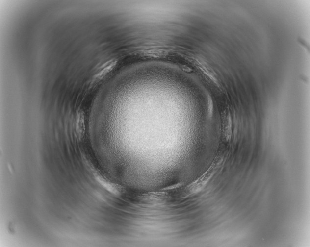 X0000098080128200804181208