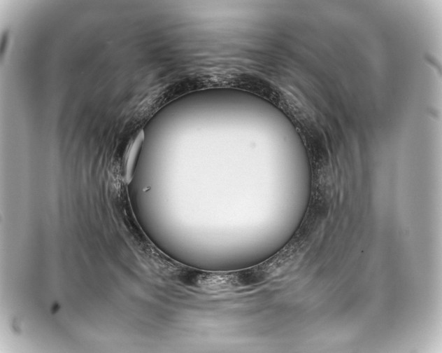 X0000098080129200804181208