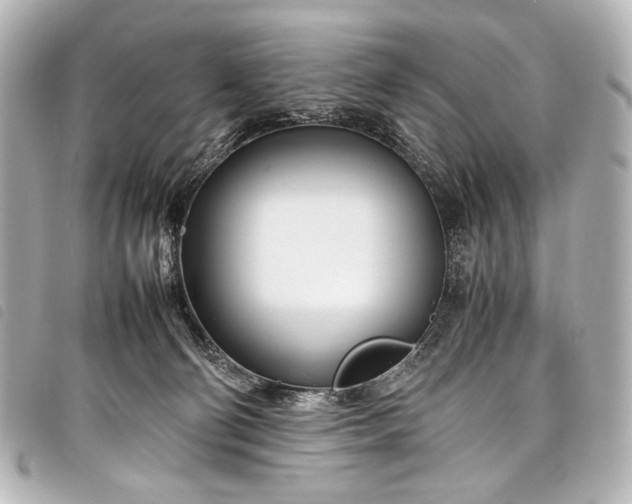 X0000098080130200804181208