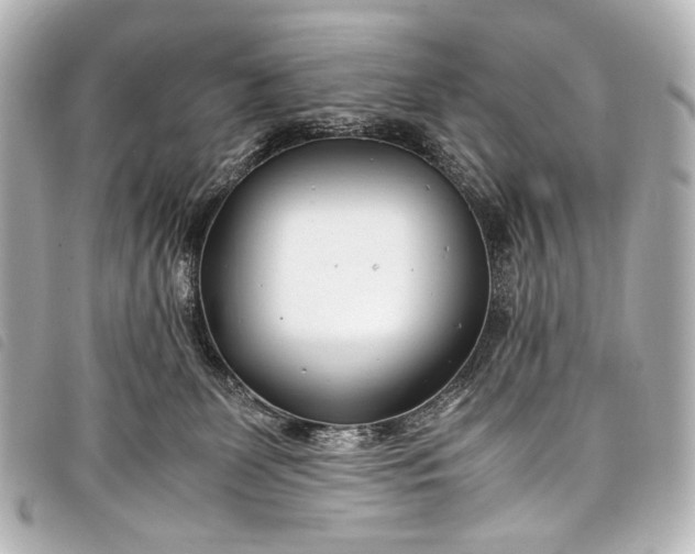 X0000098080131200804181208