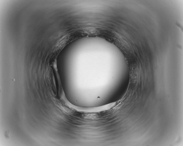 X0000098080132200804181208