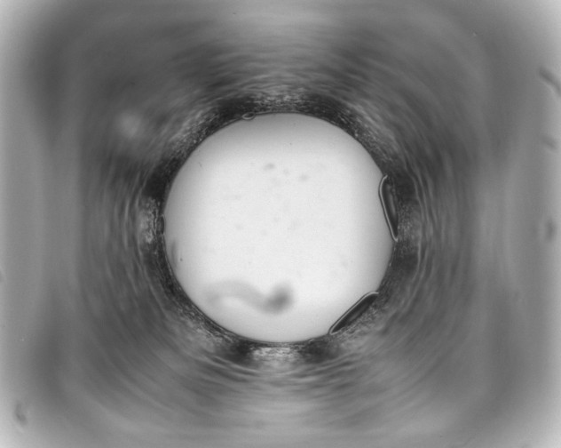 X0000098080133200804181208