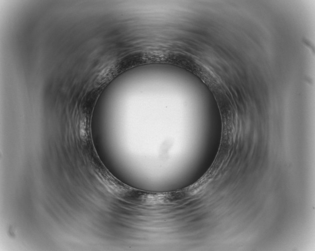 X0000098080134200804181208