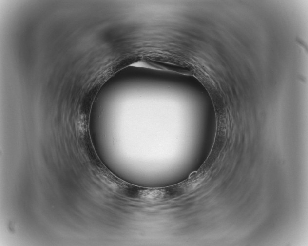 X0000098080135200804181208