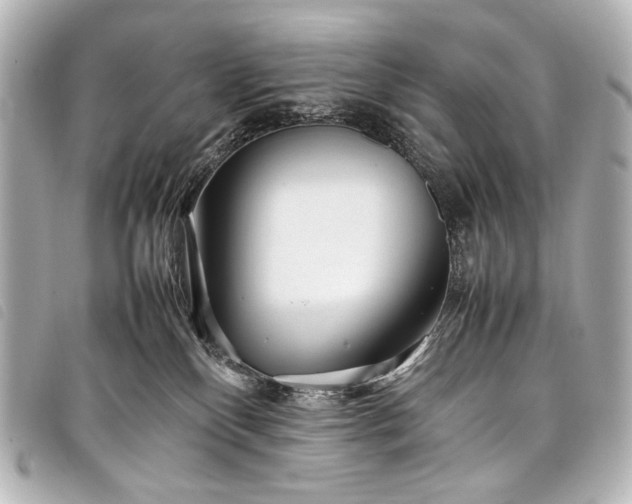 X0000098080136200804181208