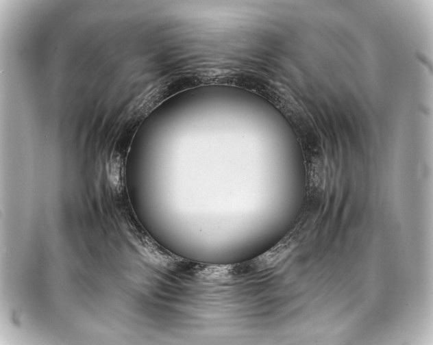 X0000098080138200804181208