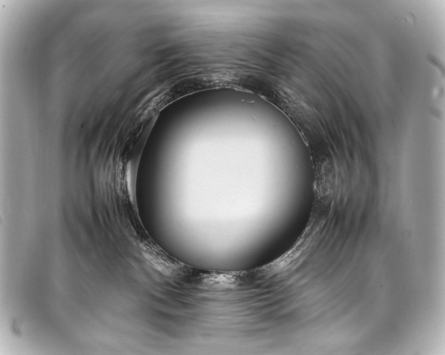 X0000098080140200804181208