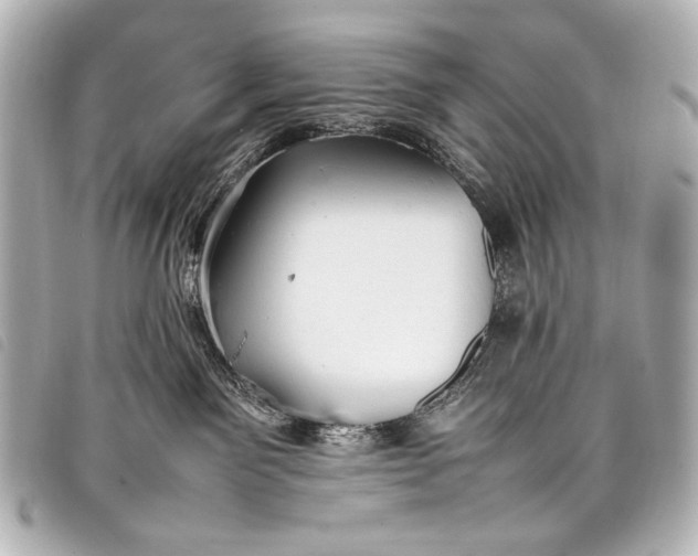 X0000098080141200804181208