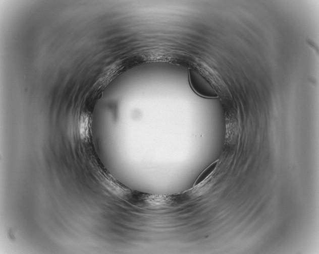 X0000098080142200804181208