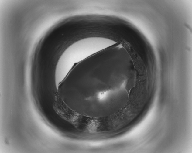 X0000098080143200804181208