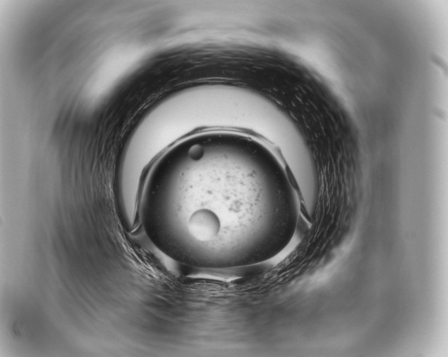 X0000098080146200804181207