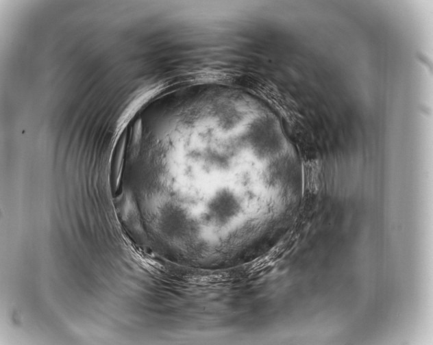 X0000098080147200804181207