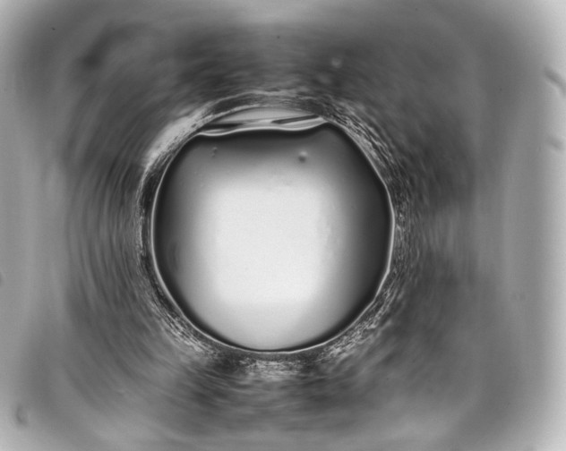 X0000098080149200804181207