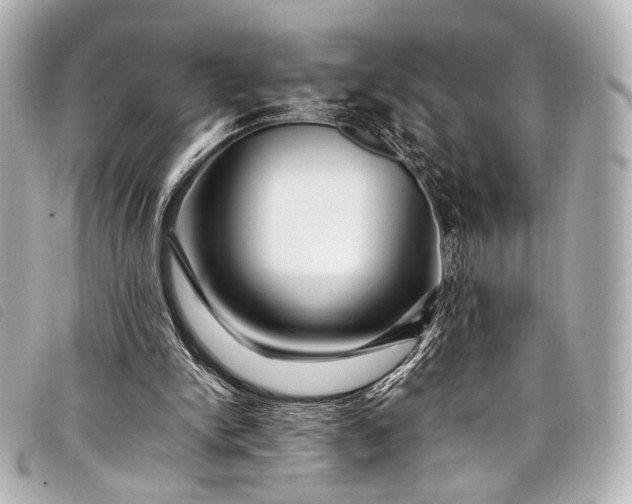 X0000098080150200804181207