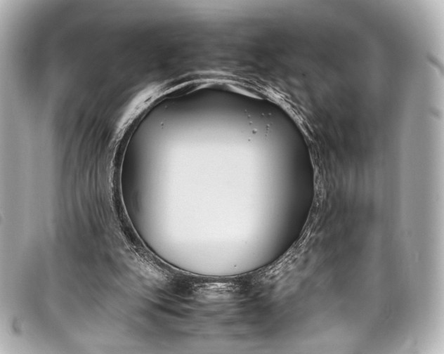 X0000098080151200804181207