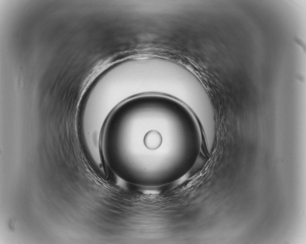 X0000098080152200804181207