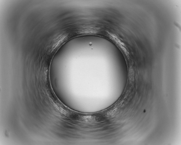 X0000098080153200804181207