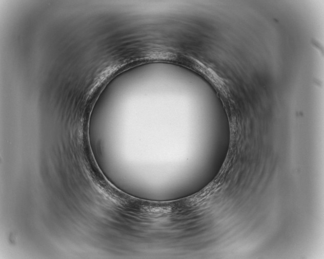 X0000098080155200804181208