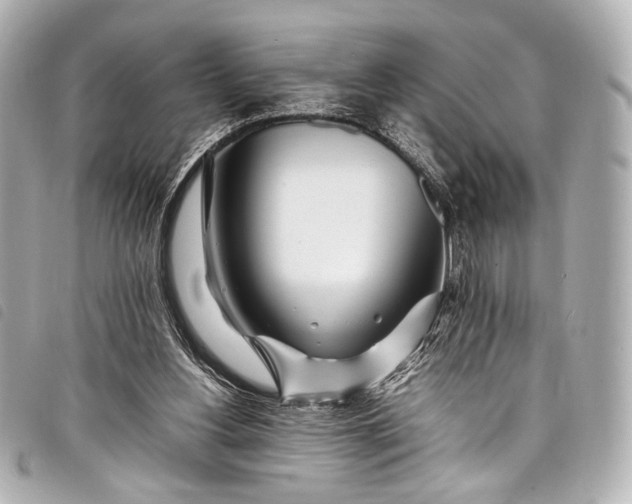 X0000098080156200804181208