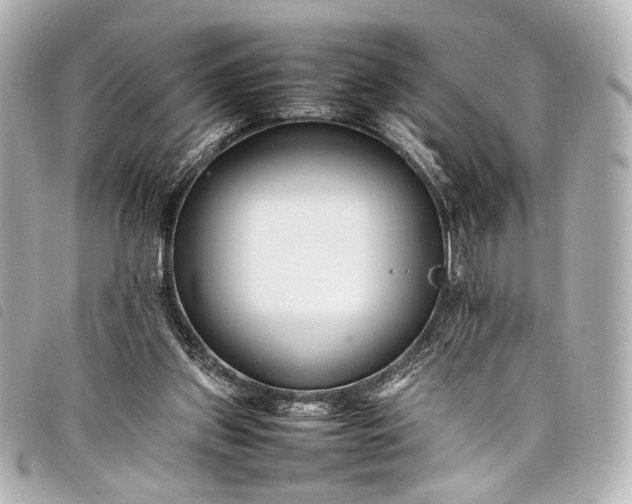 X0000098080157200804181208