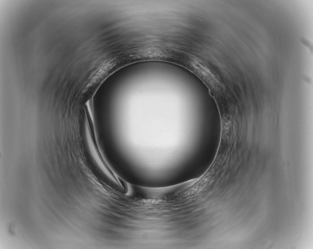 X0000098080158200804181208