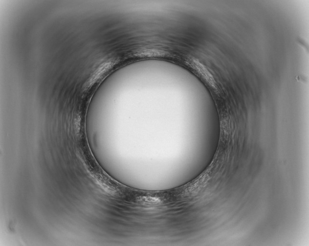 X0000098080159200804181208