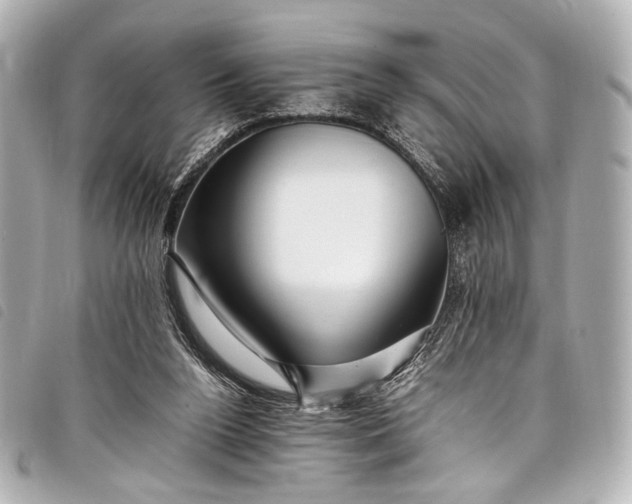 X0000098080160200804181208