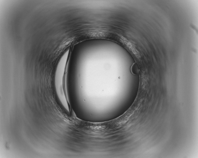 X0000098080161200804181208