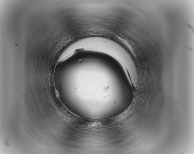 X0000098080162200804181208