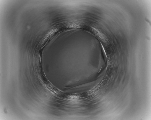 X0000098080163200804181208