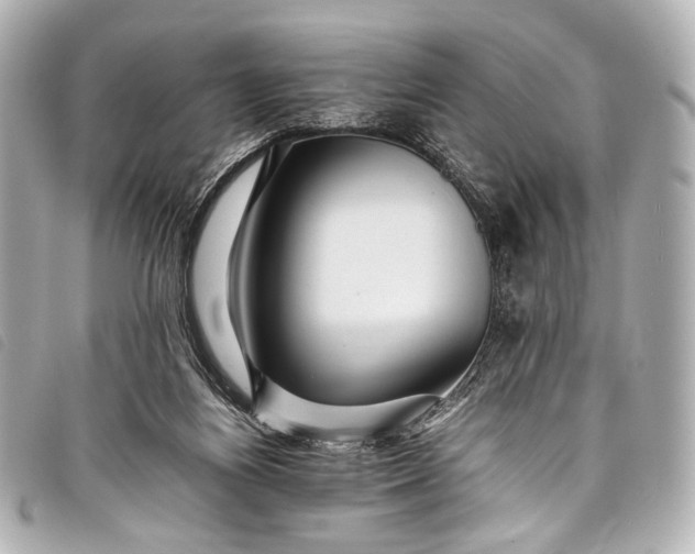 X0000098080164200804181208