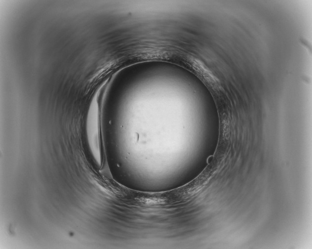 X0000098080165200804181208