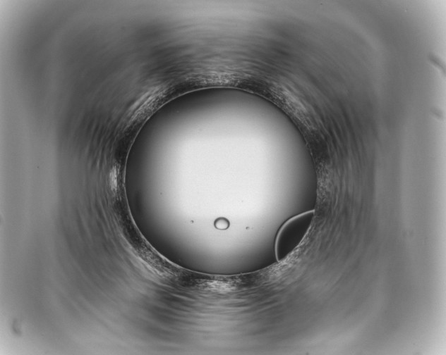 X0000098080166200804181208