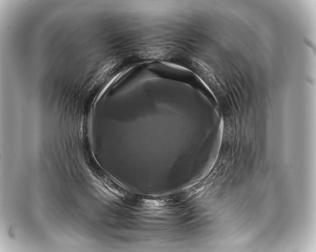 X0000098080167200804181208