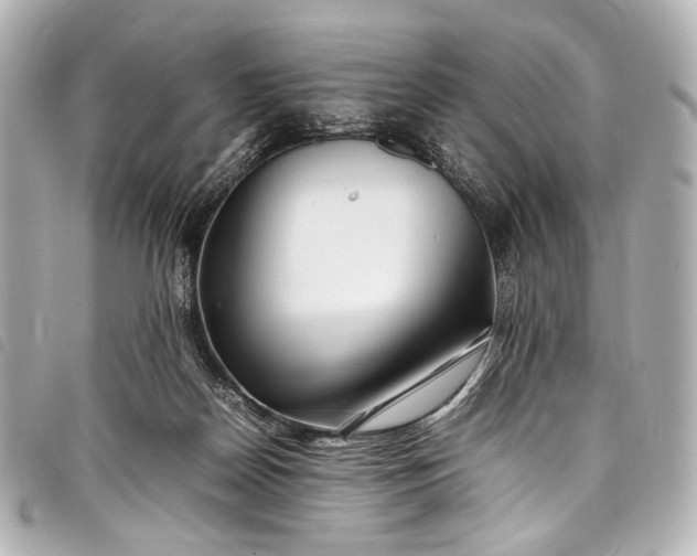 X0000098080170200804181208