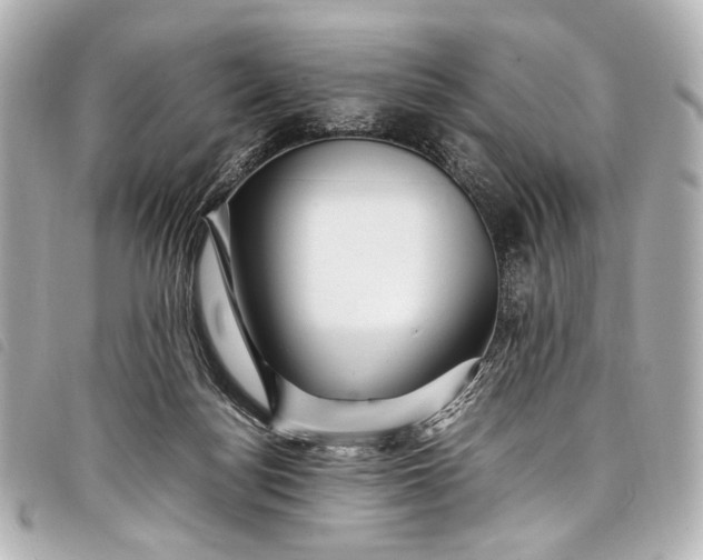 X0000098080172200804181208