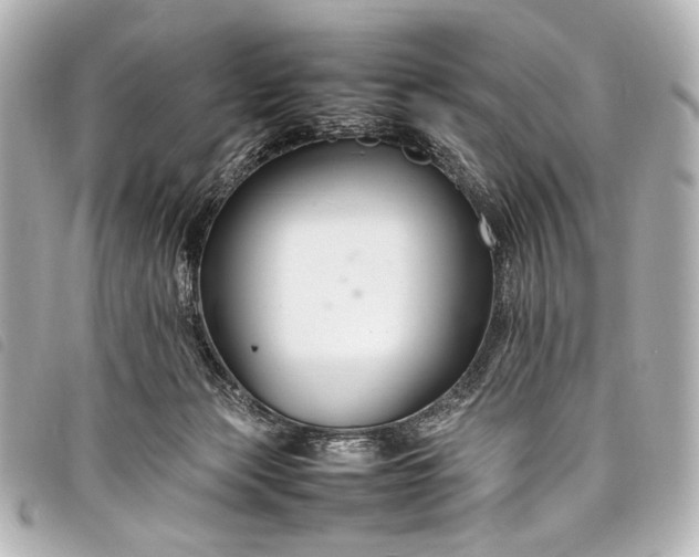 X0000098080173200804181208