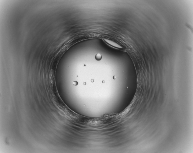 X0000098080174200804181208