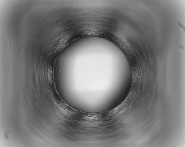 X0000098080175200804181208