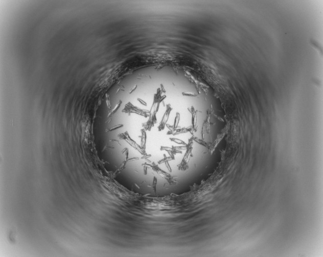 X0000098080177200804181208