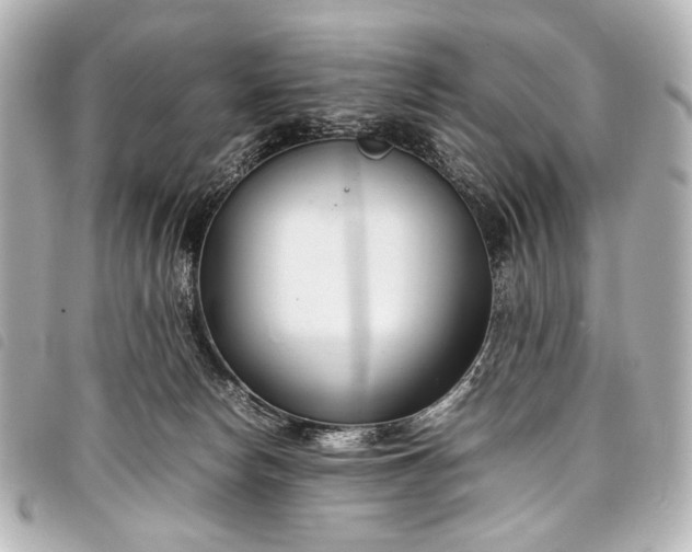 X0000098080178200804181208