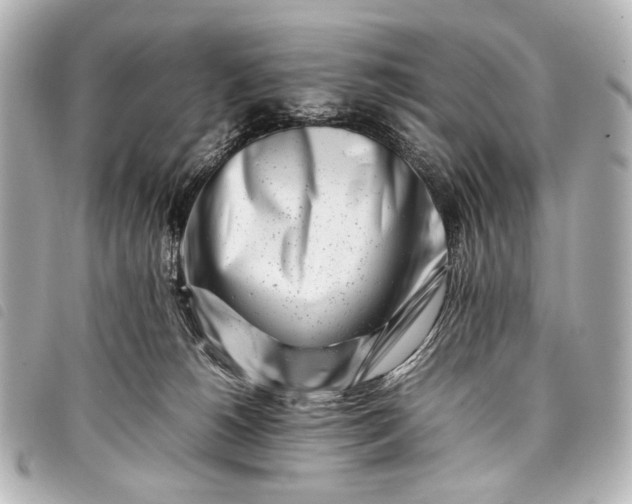 X0000098080180200804181208