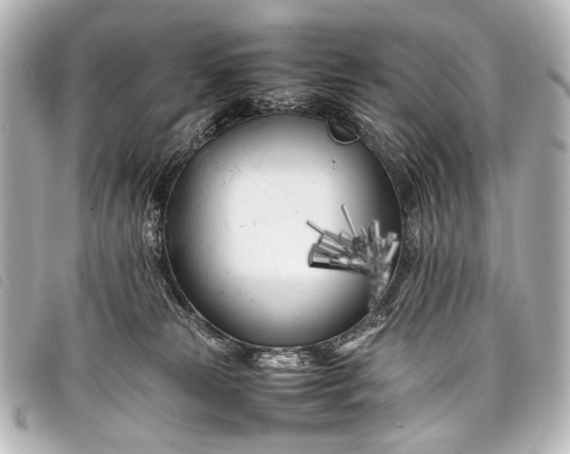 X0000098080181200804181208