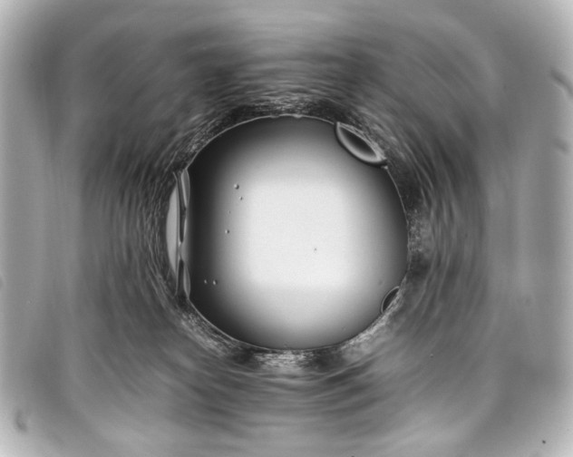 X0000098080182200804181208